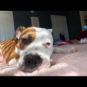 Meet your Posher, Avry